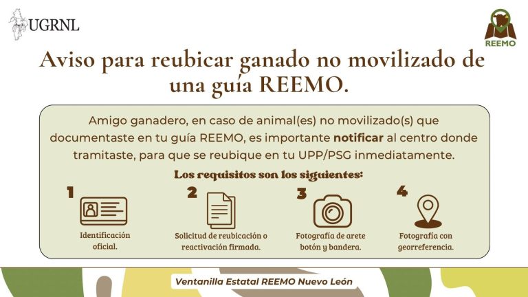 reubicar ganado reemo